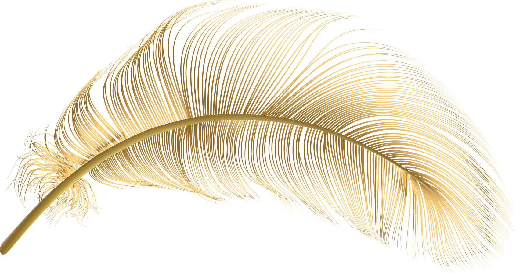 Gold feather